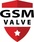 Valvesüsteemide tehnik
