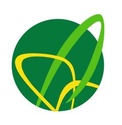 OILSEEDS TRADE AS logo