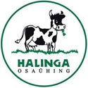 Halinga OÜ logo