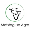 METSTAGUSE AGRO OÜ logo
