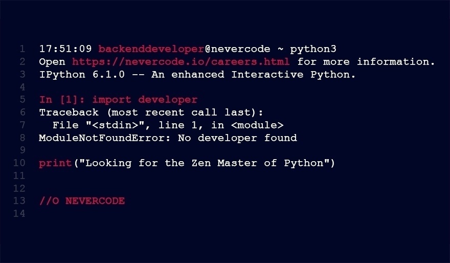 Nevercode Software developer