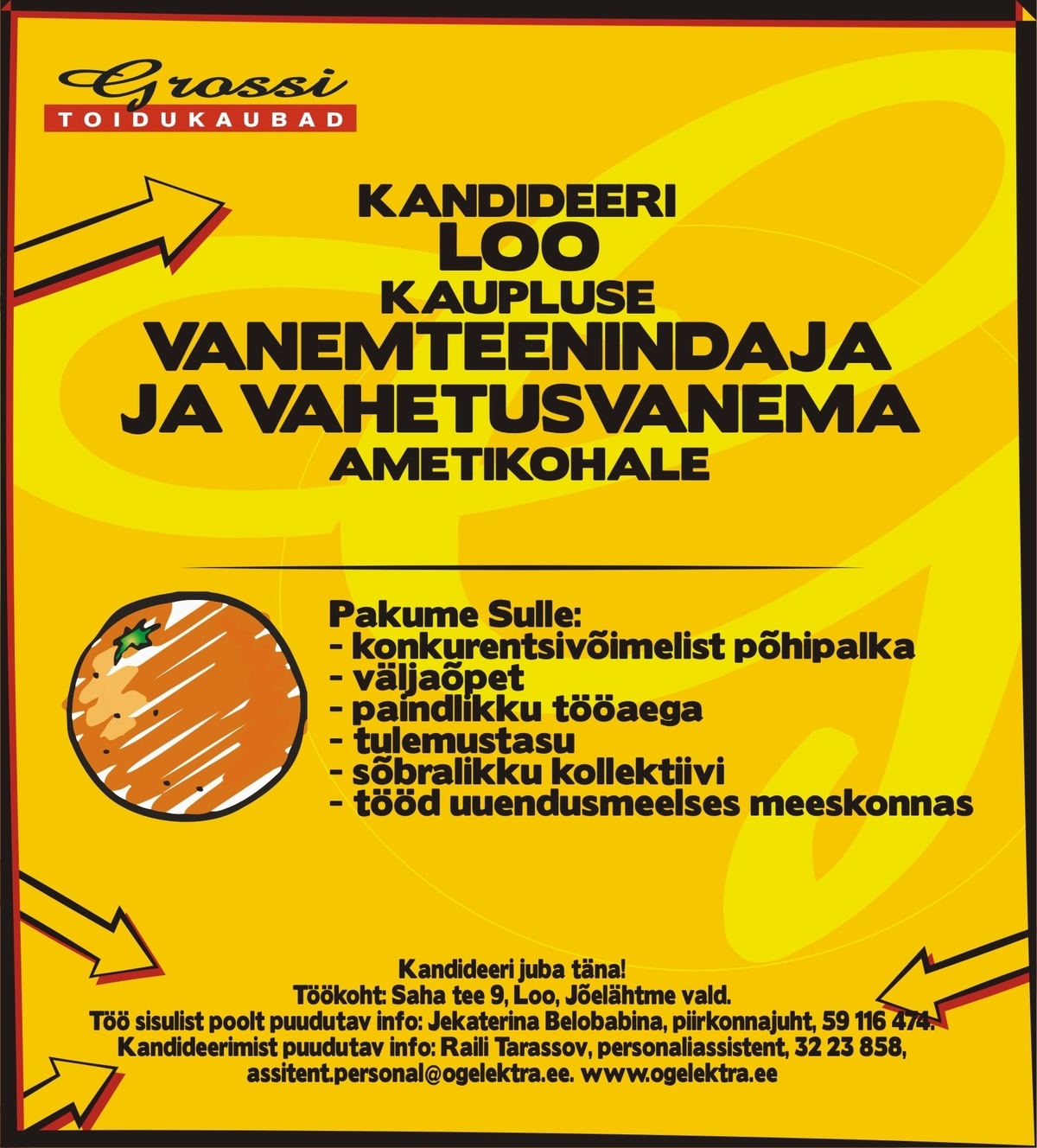 OG Elektra AS Vanemteenindaja ja vahetusvanem (Loo)