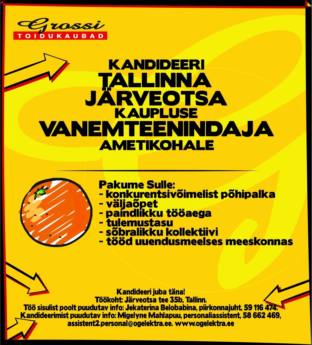 OG Elektra AS Vanemteenindaja (Järveotsa)