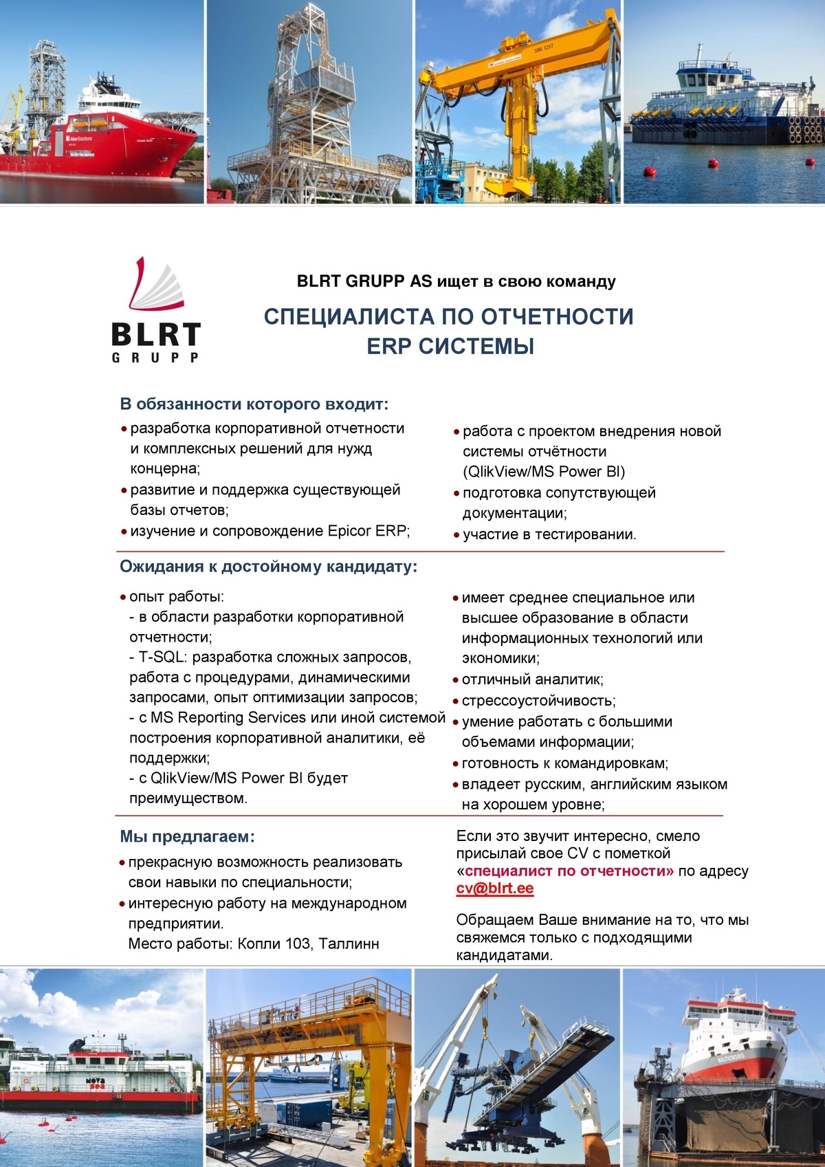 BLRT GRUPP AS Специалист по отчетности ERP системы