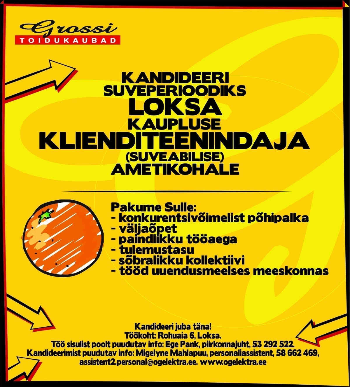 OG Elektra AS Klienditeenindaja, suveabiline (Loksa)