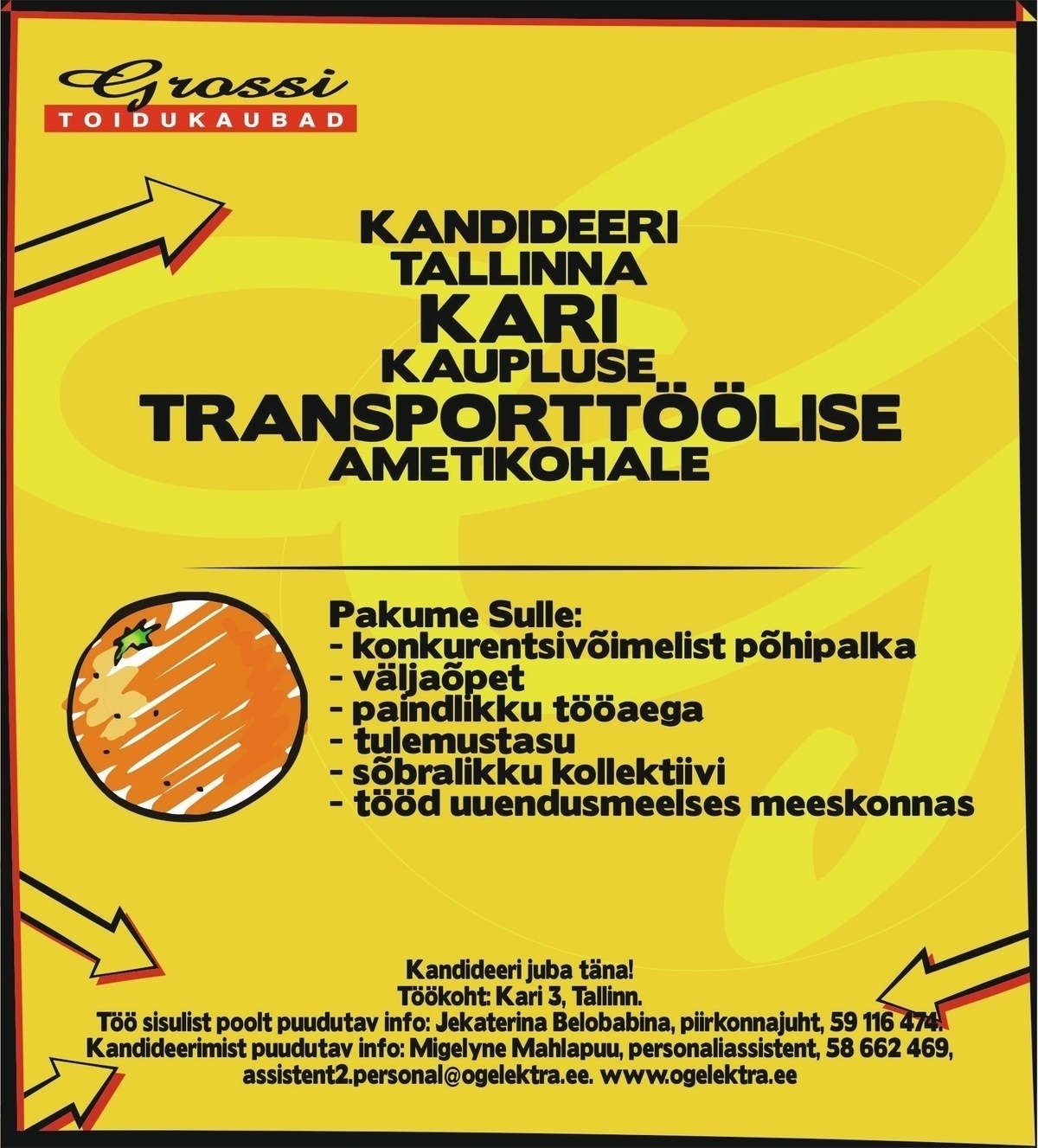 OG Elektra AS Transporttööline (Kari)