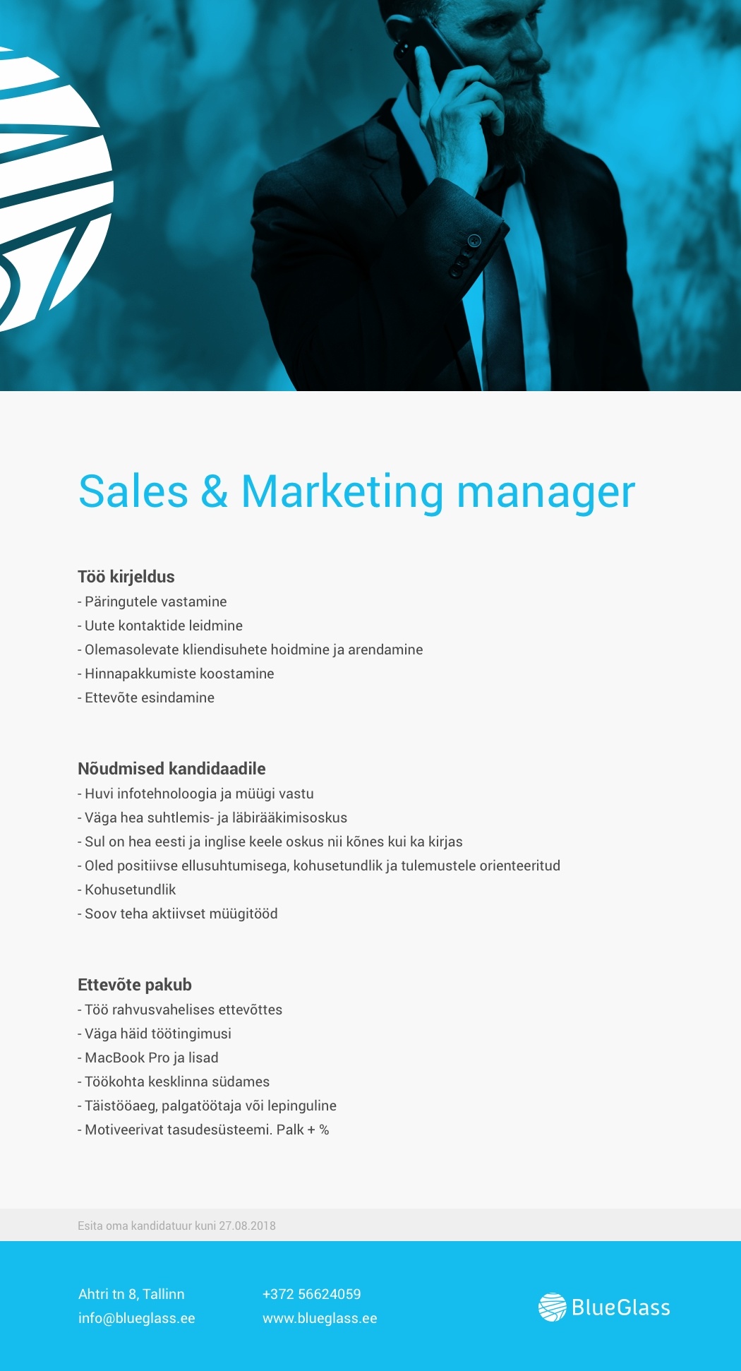 BlueGlass Interactive OÜ 	 Müügijuht & Marketing manager