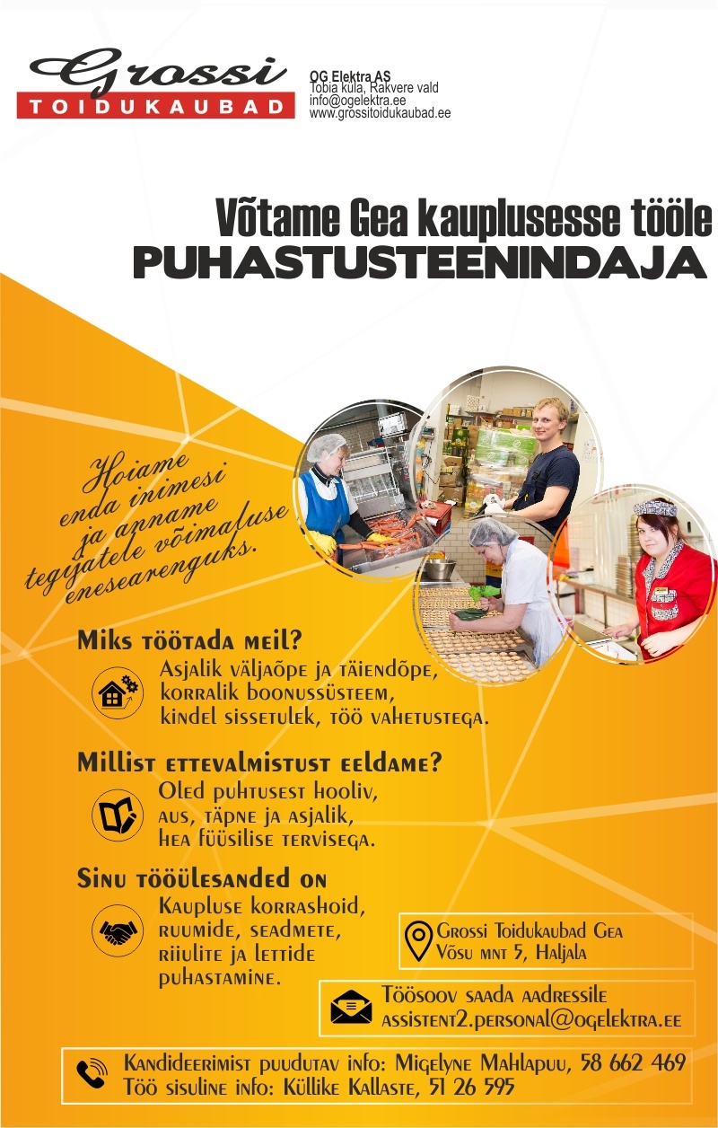 OG Elektra AS Puhastusteenindaja (Gea)