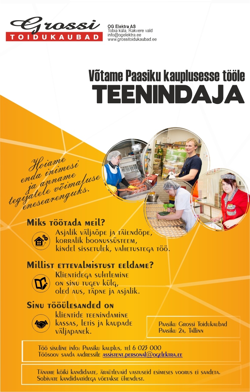 OG Elektra AS Teenindaja (Paasiku)