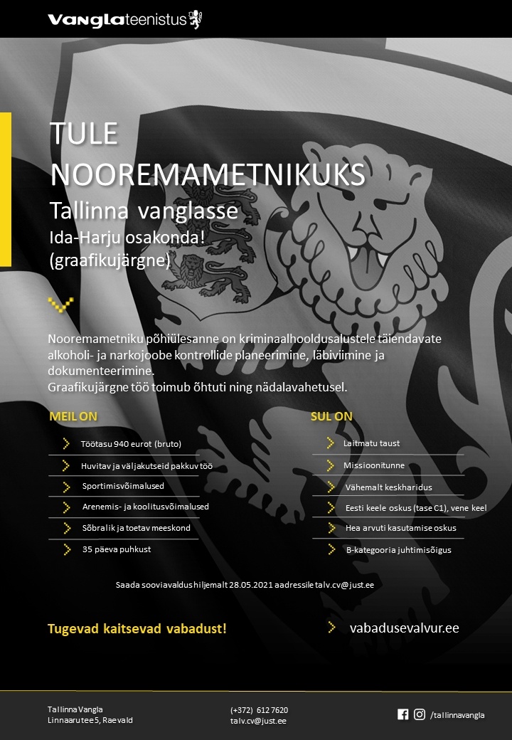 Tallinna Vangla Ida-Harju kriminaalhooldusosakonna nooremametnik (graafikujärgne töö)