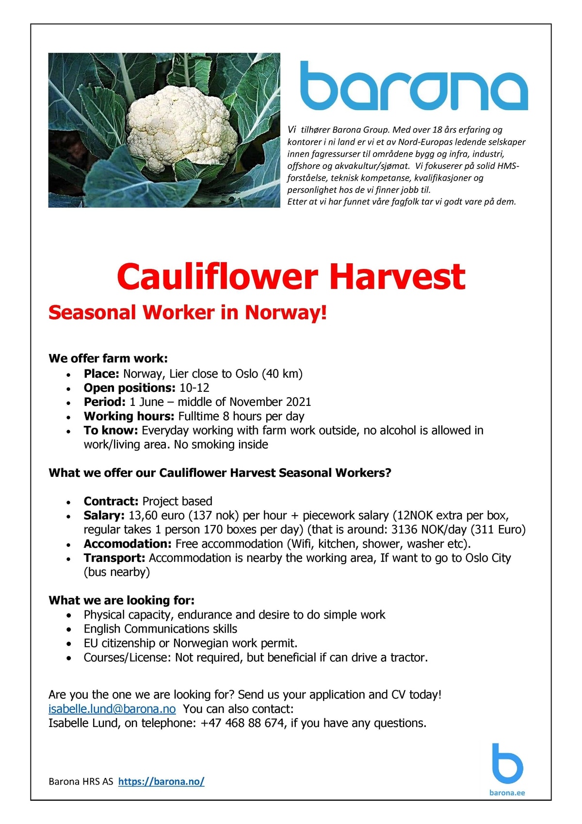 Barona Eesti OÜ Cauliflower Harvest in Norway