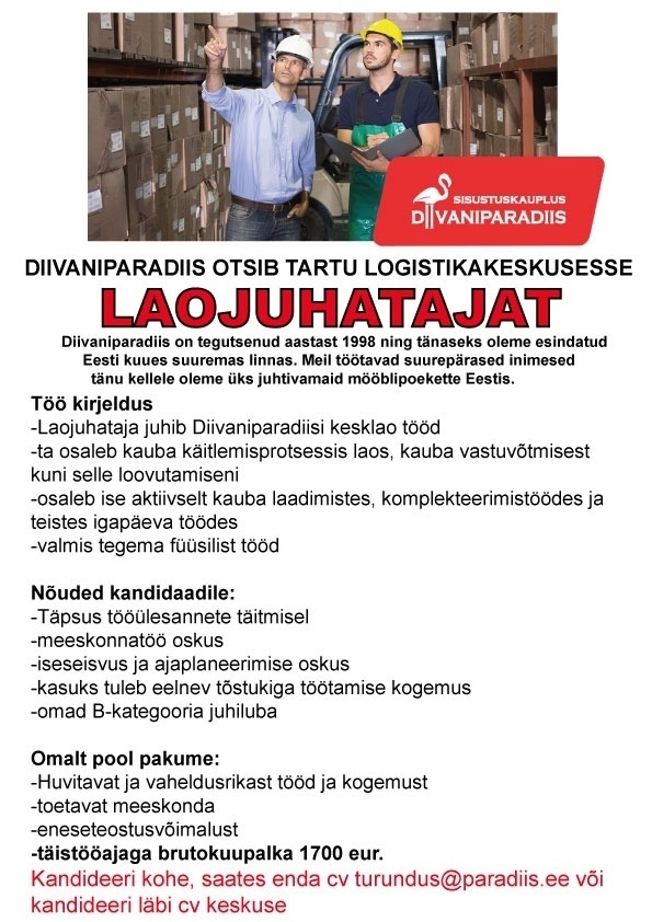 Diivaniparadiis OÜ Laojuhataja