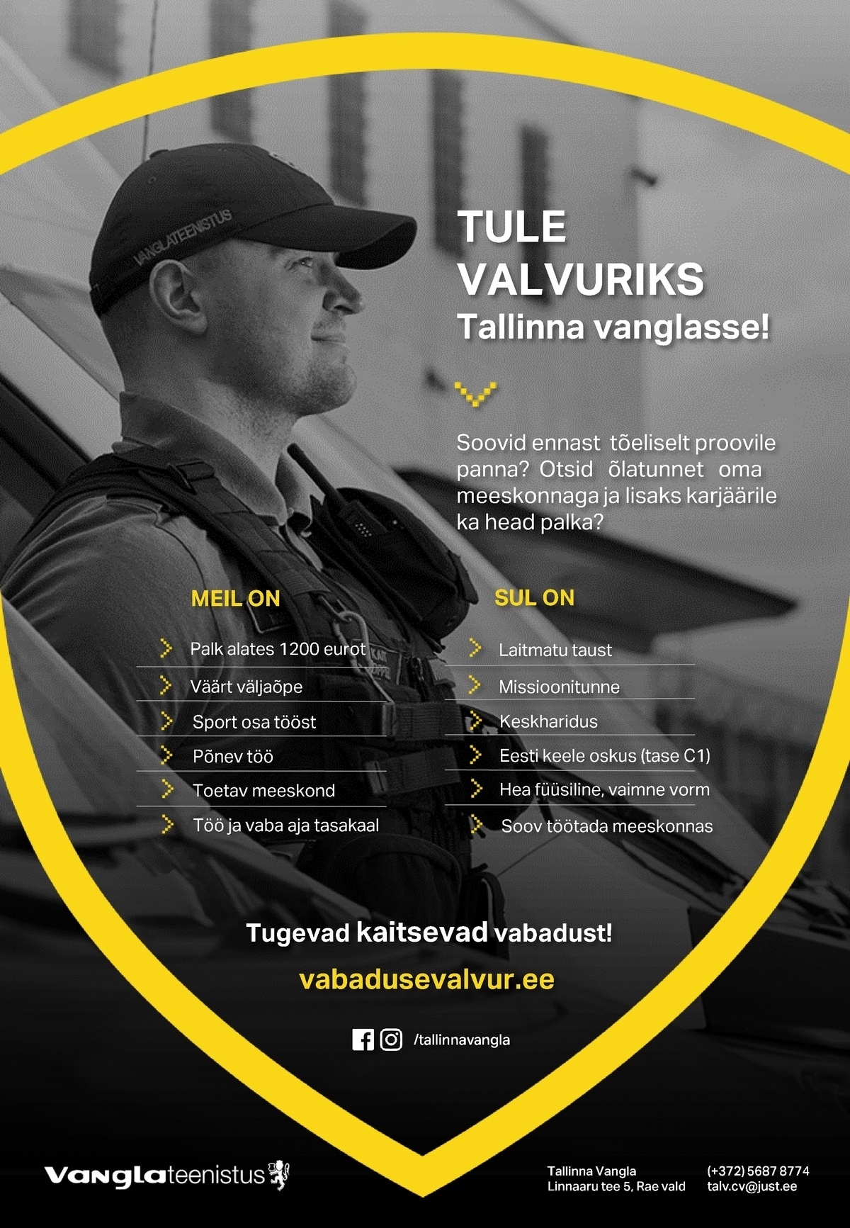 Tallinna Vangla VALVUR (Vanglaametnik)
