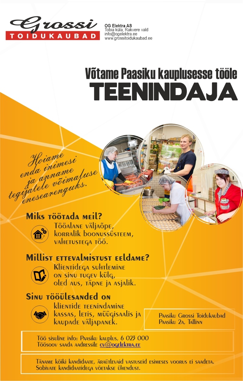 OG Elektra AS Teenindaja (Paasiku)