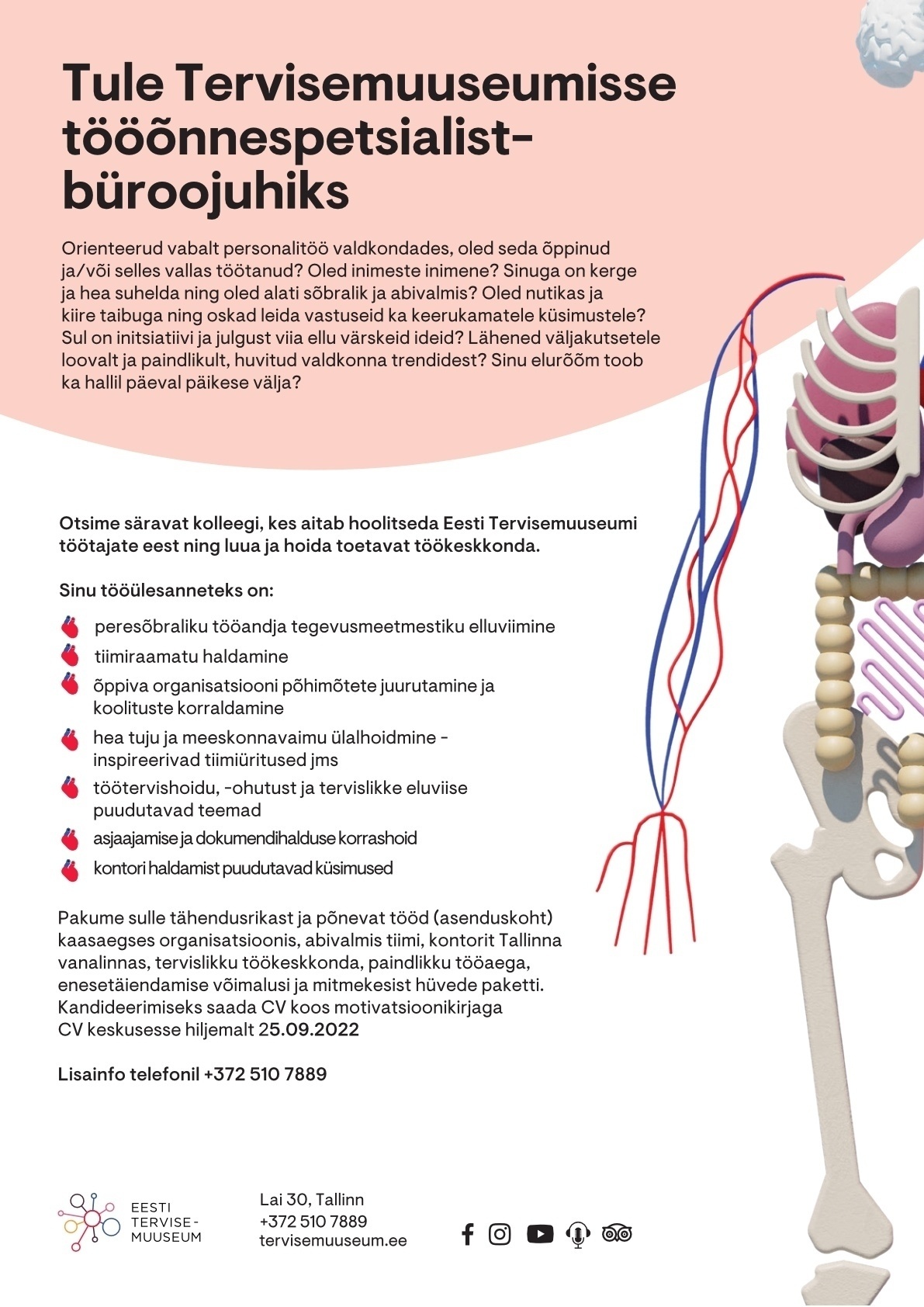 Eesti Tervisemuuseum Tööõnnespetsialist-büroojuht