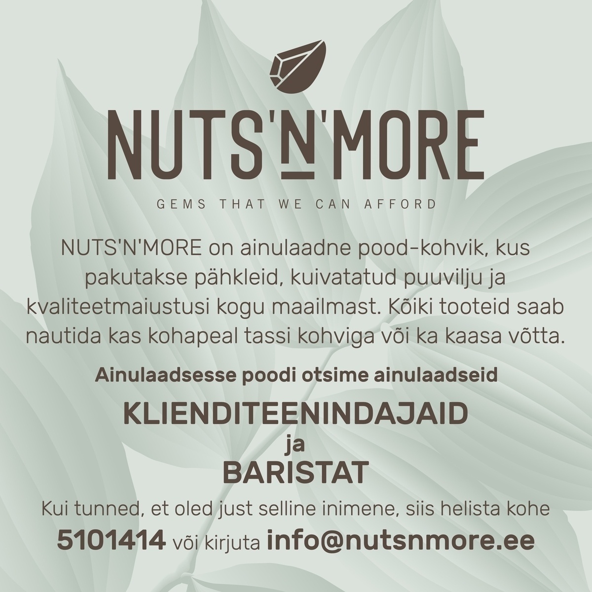 NUTS'N'MORE (Nutsnmore OÜ) Klienditeenindaja ja barista