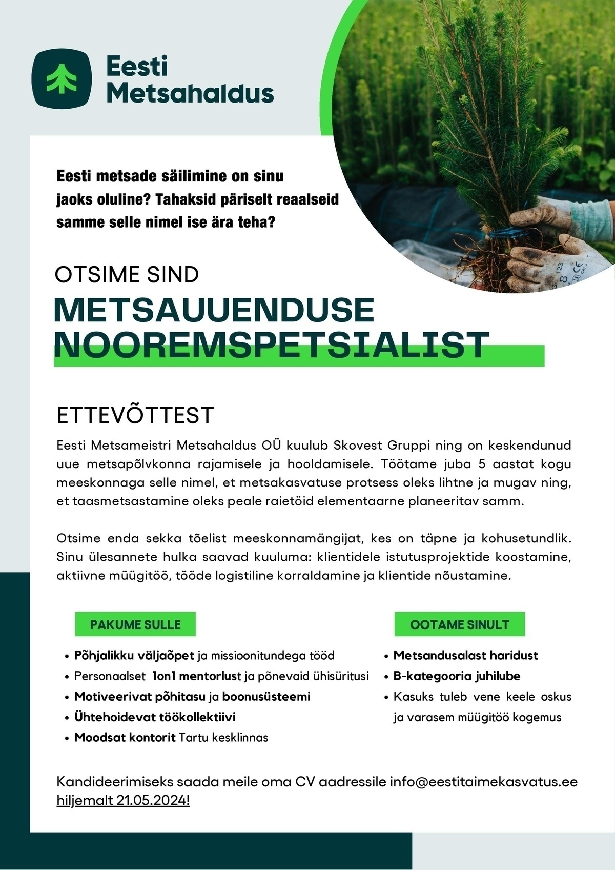 Eesti Metsameistri Metsahalduse OÜ Metsauuenduse nooremspetsialist