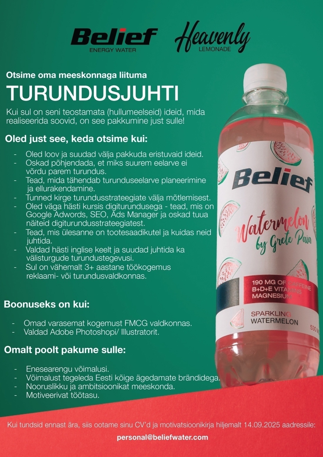 BELIEF WATER OÜ Turundusjuht