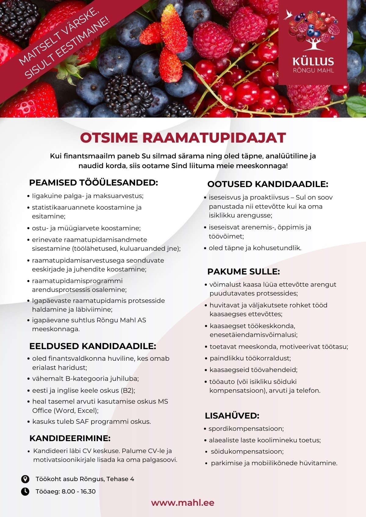 Rõngu Mahl AS Raamatupidaja