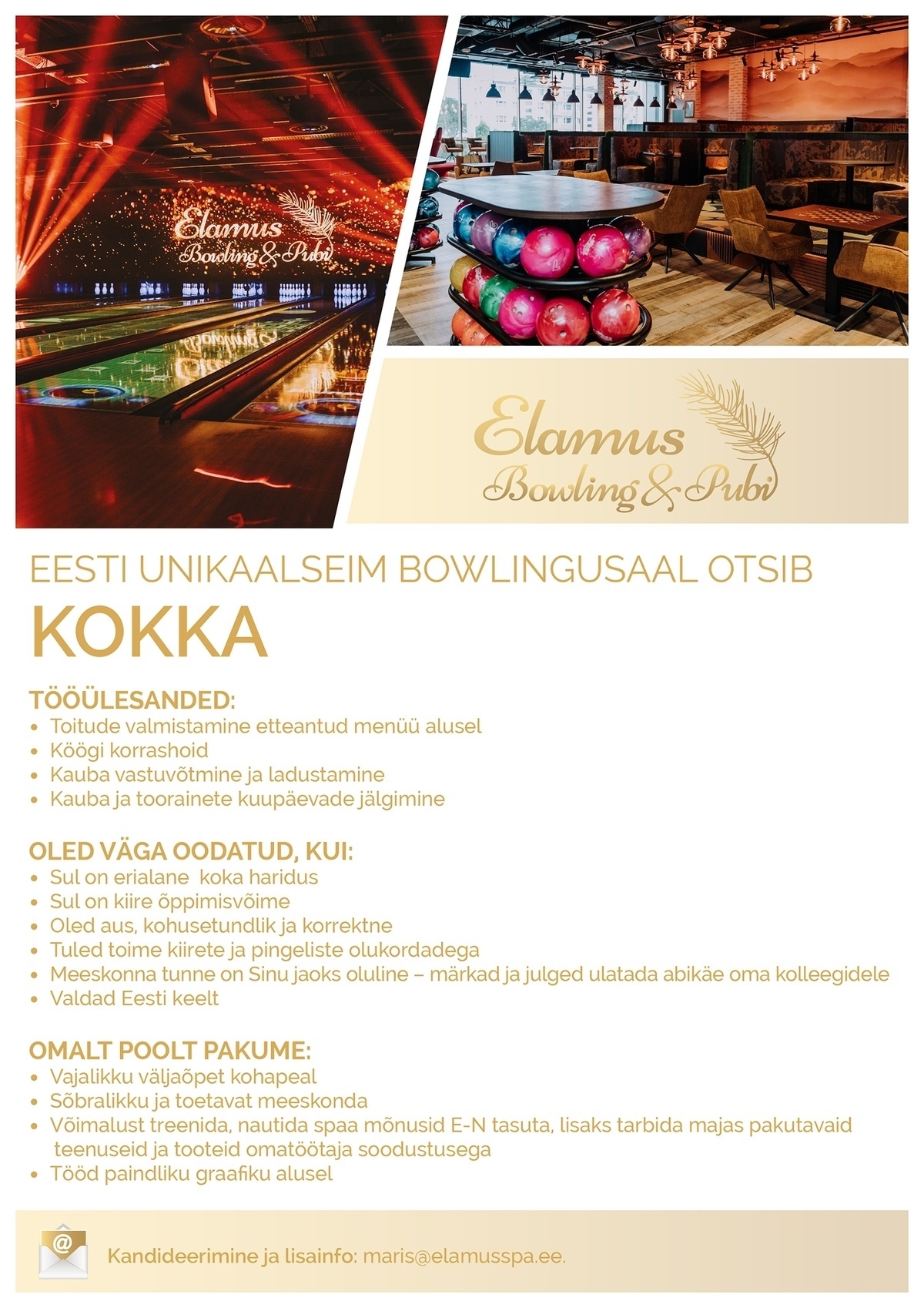 Mustamäe Spa OÜ Kokk (Elamus Bowling&Pubi)