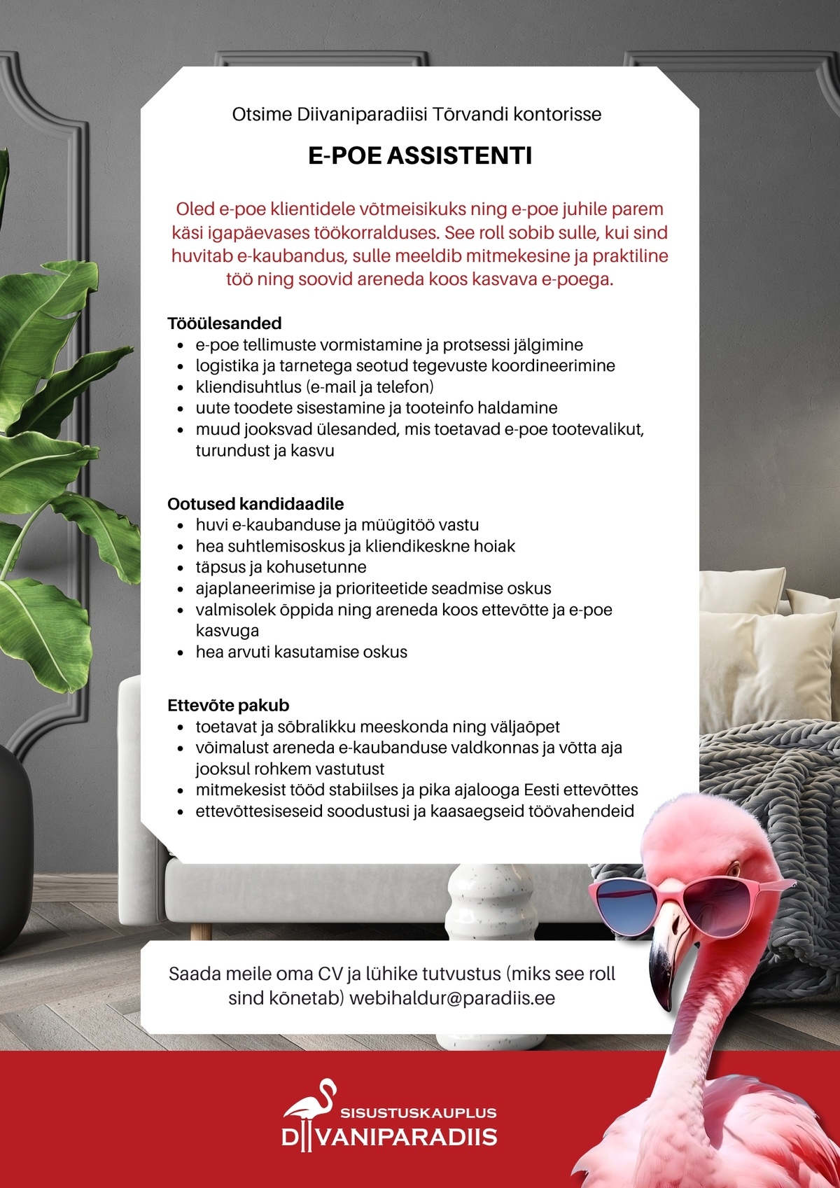 Diivaniparadiis OÜ E-poe assistent (veebihaldur)