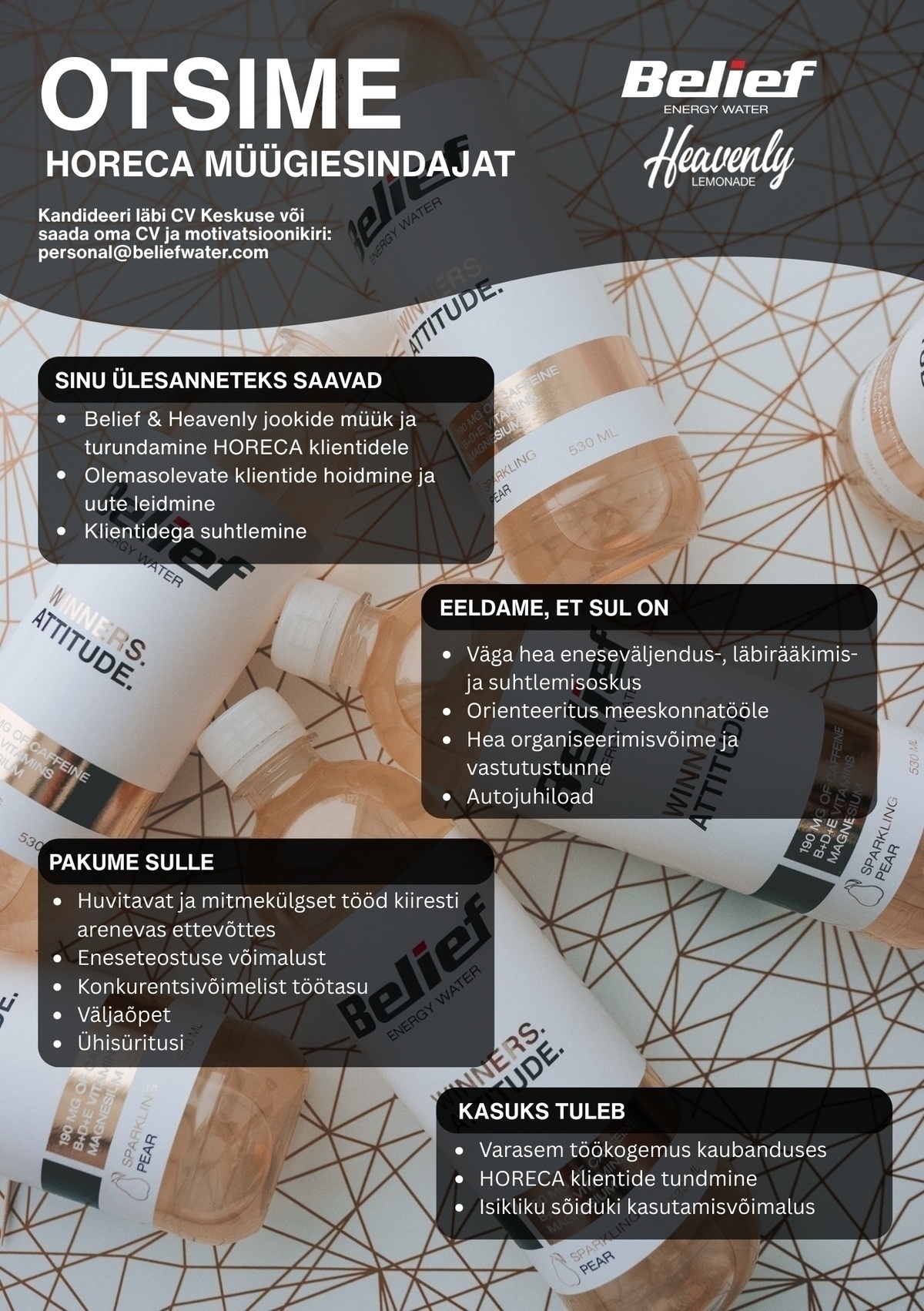 BELIEF WATER OÜ HoReCa Müügiesindaja