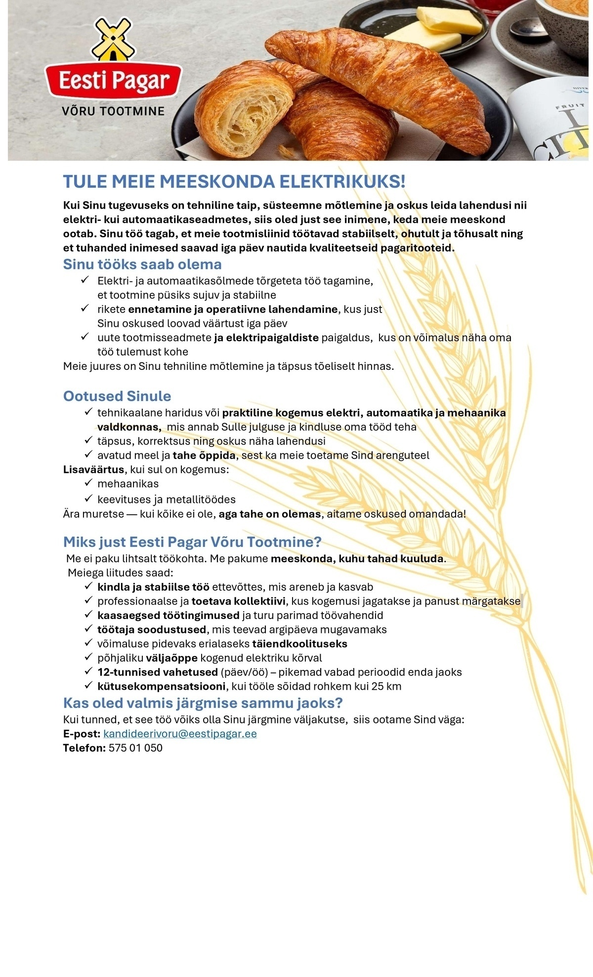 CRISTELLA VT OÜ Elektrik