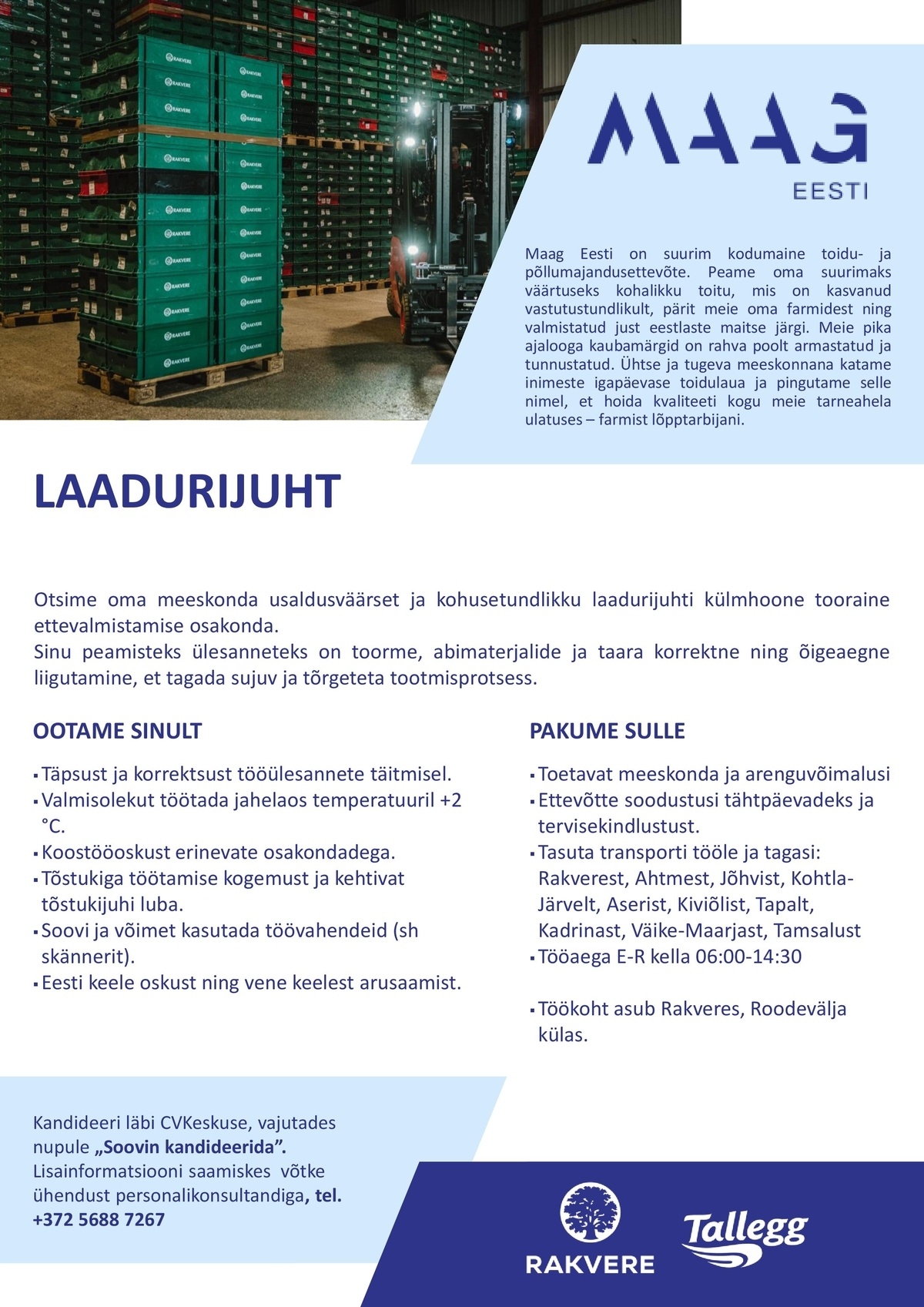 Maag Eesti AS Laadurijuht