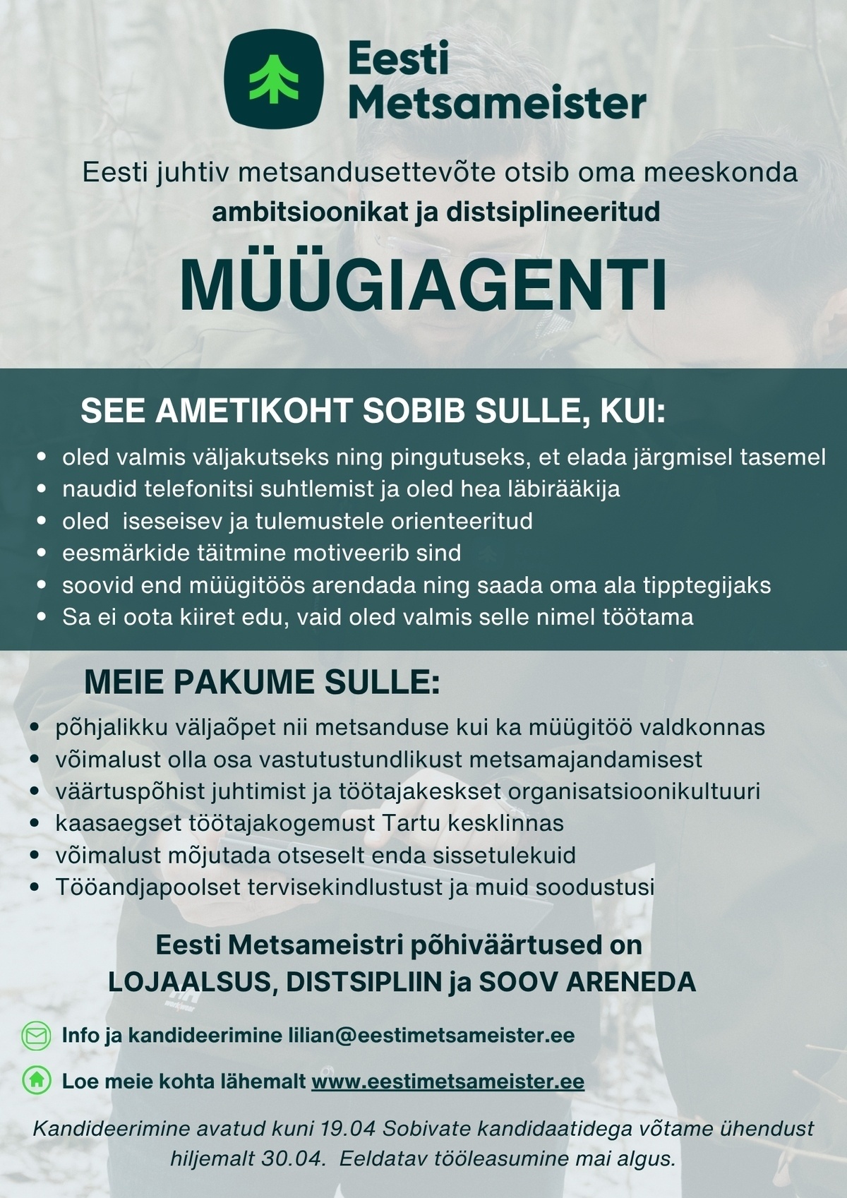 EESTI METSAMEISTER OÜ Müügiagent