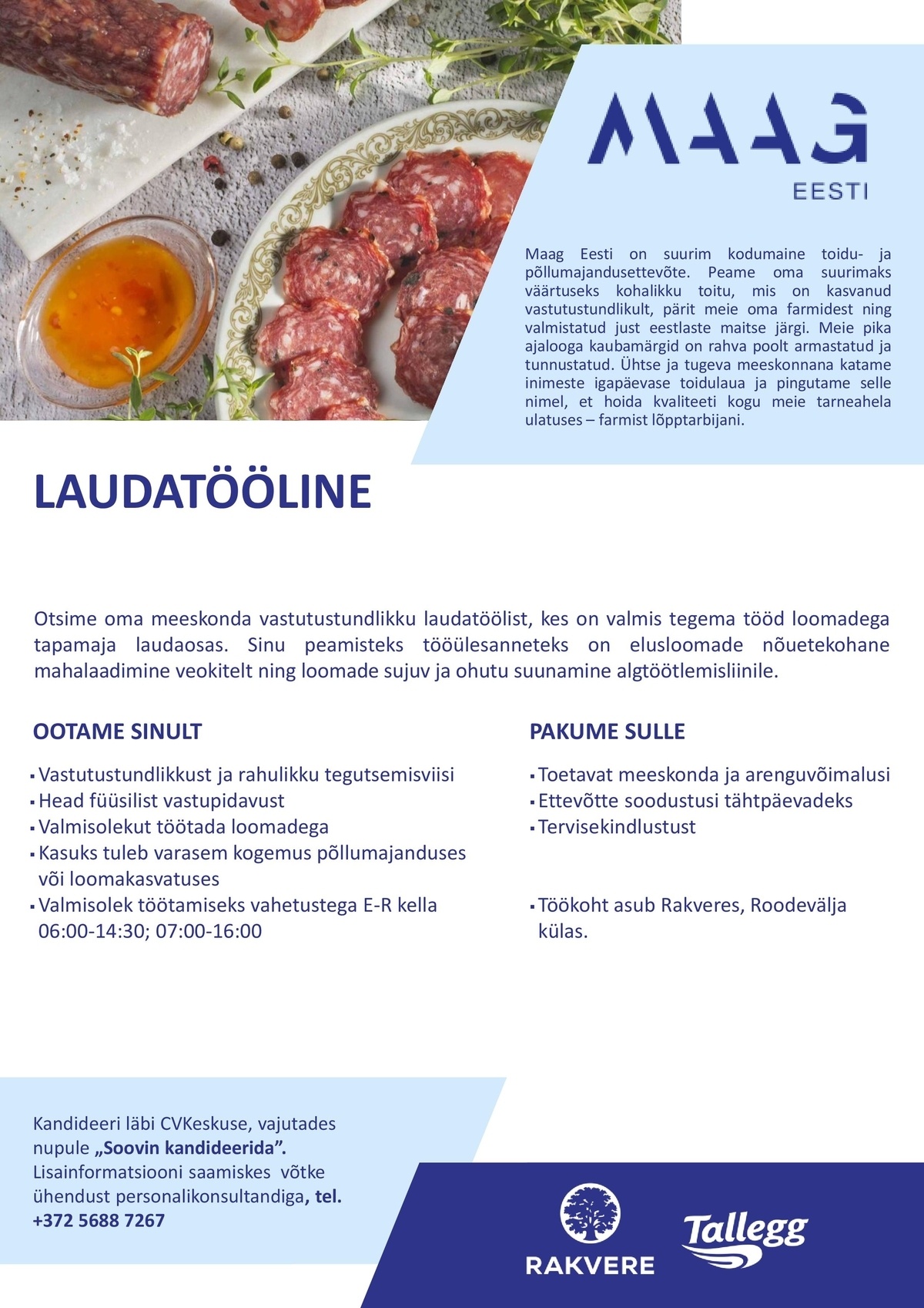 Maag Eesti AS Laudatööline