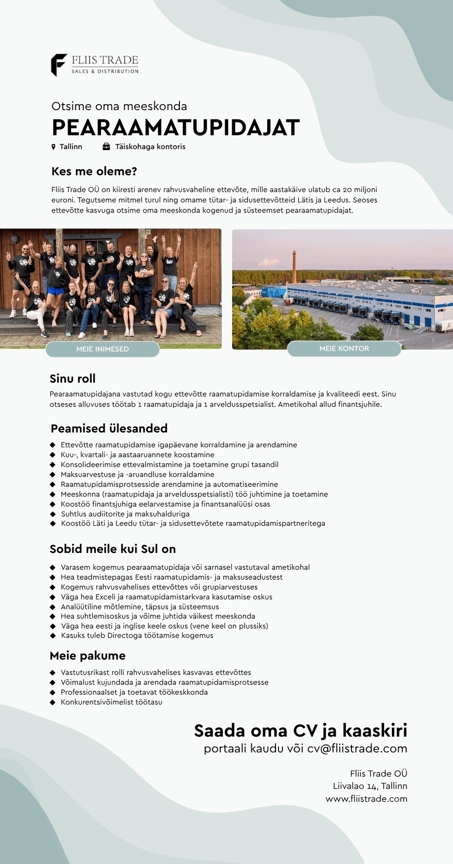 Fliis Trade OÜ Pearaamatupidaja