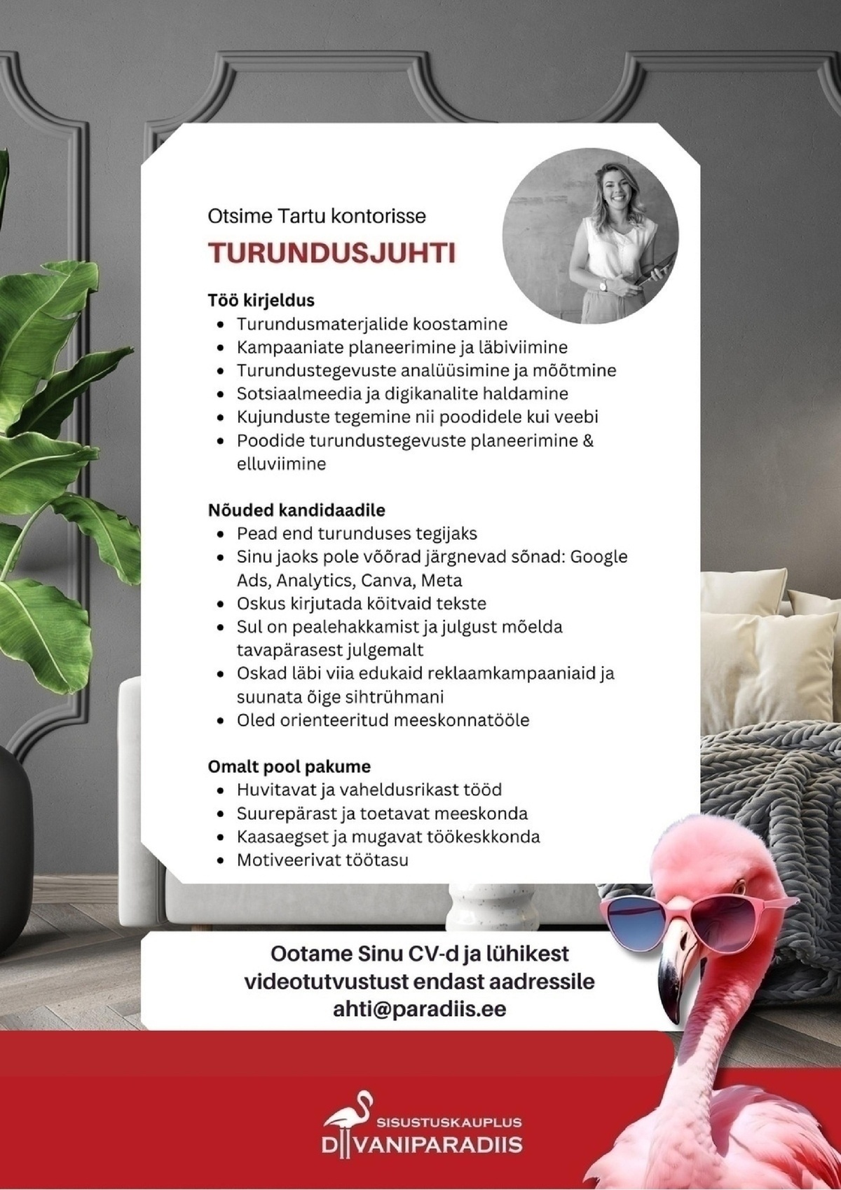 Diivaniparadiis OÜ Turundusjuht