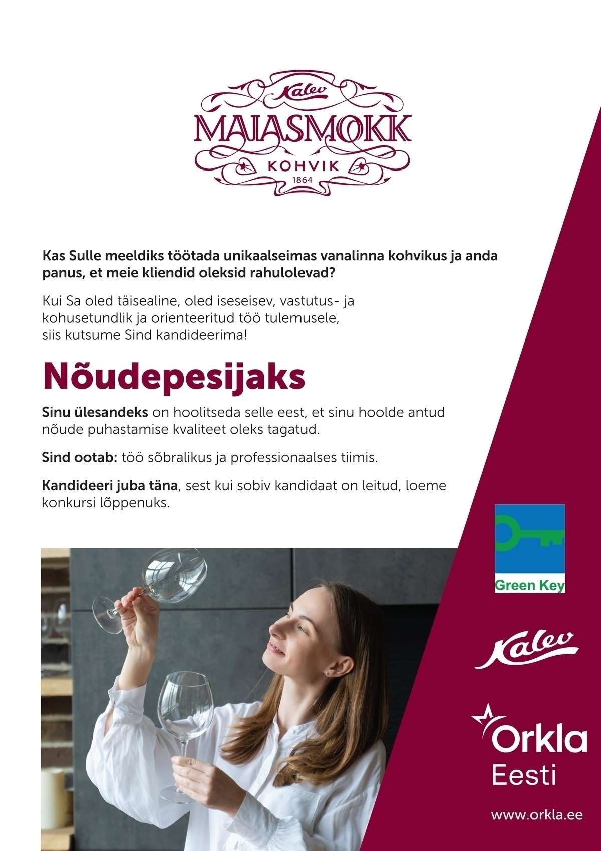 Orkla Eesti AS Nõudepesija