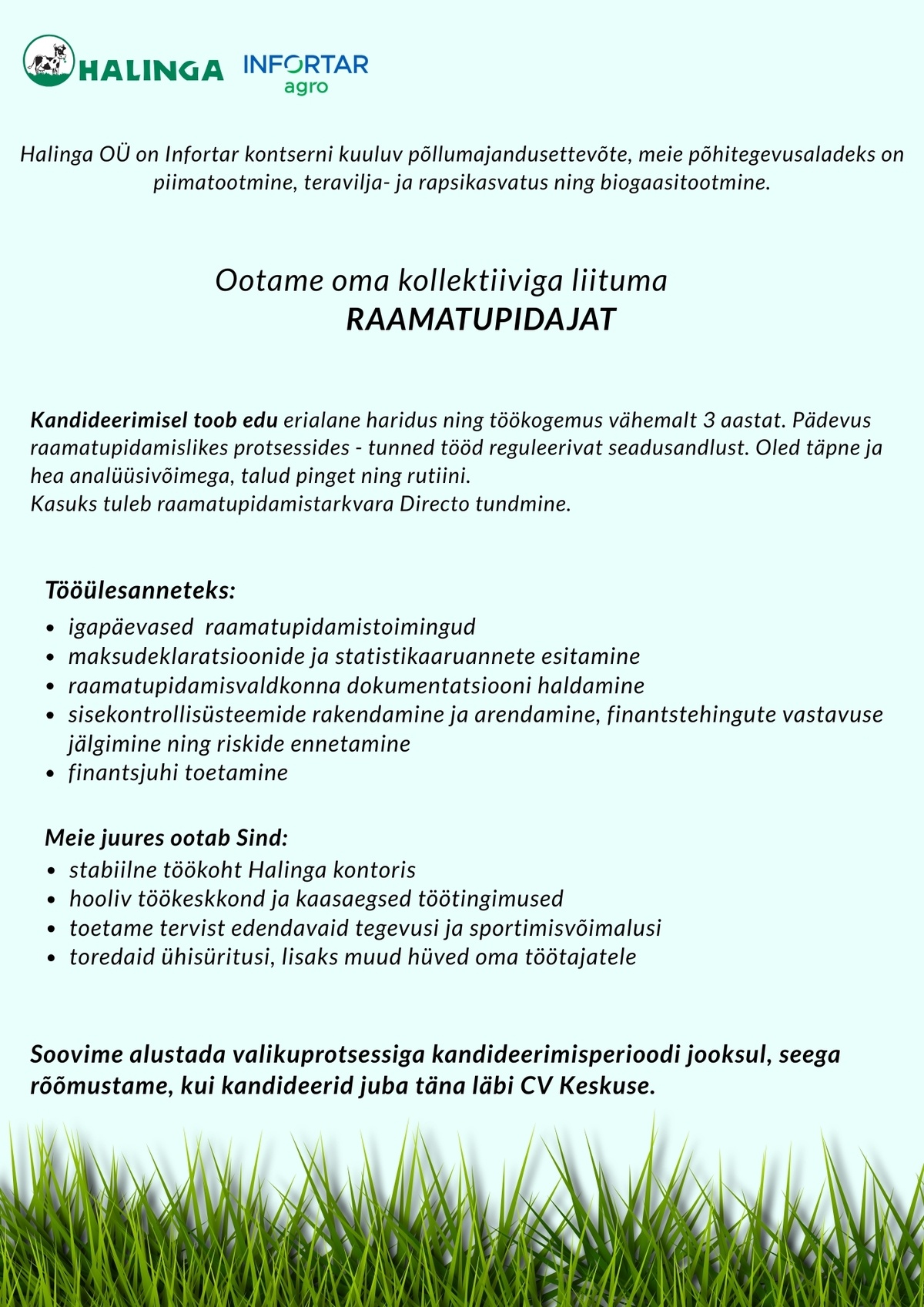 Halinga OÜ Raamatupidaja