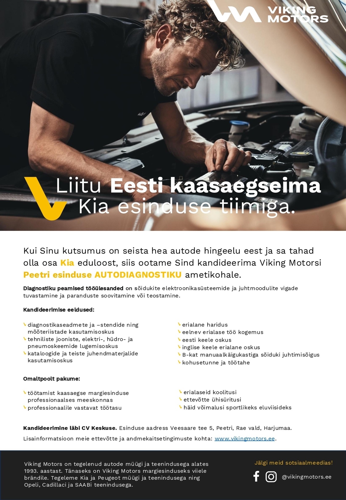 Viking Motors AS Autodiagnostik Viking Motorsi Kia Peetri esinduses