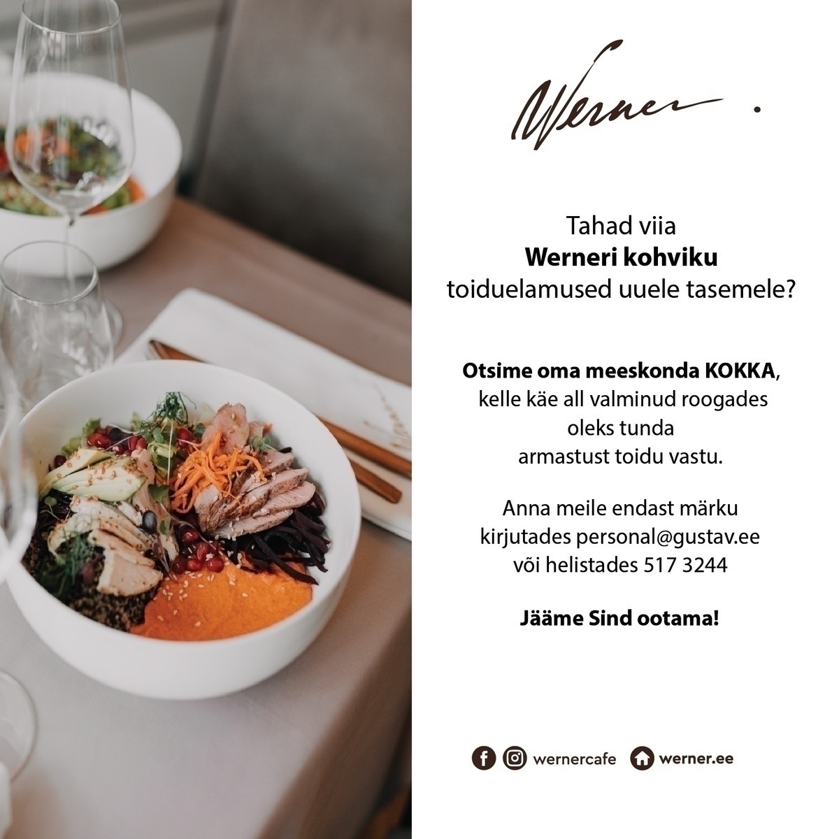 GUSTAV CAFE OÜ Kokk Werneri kohvikus