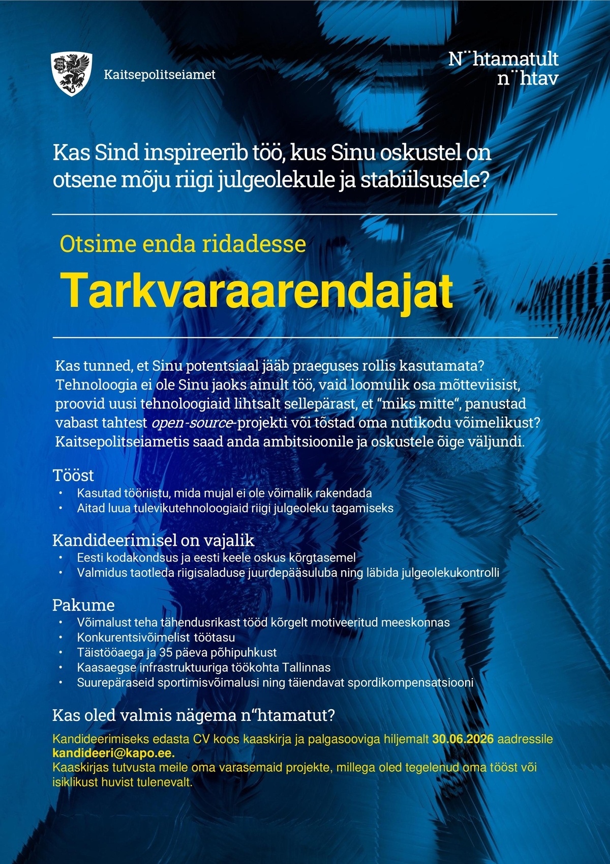 Kaitsepolitseiamet Tarkvaraarendaja