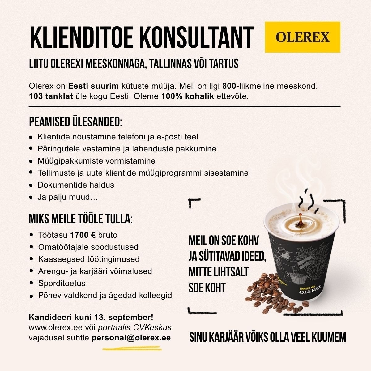 Olerex AS Klienditoe konsultant