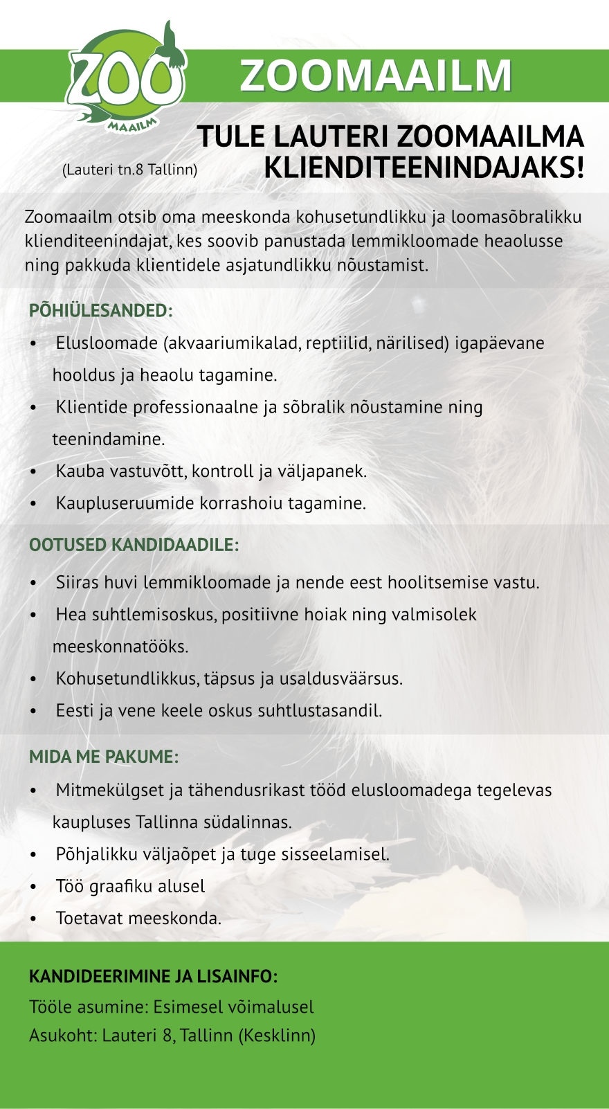 Leigiv OÜ Tallinna kesklinna Zoomaailma kauplus otsib klienditeenindajat