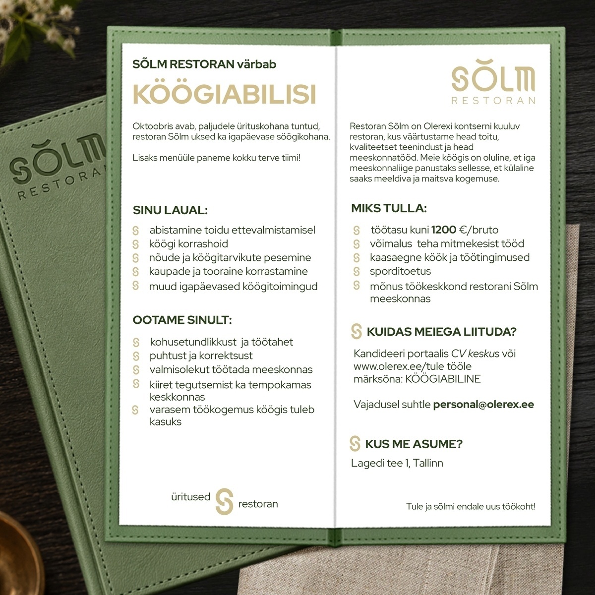 Restoran Sõlm Köögiabiline