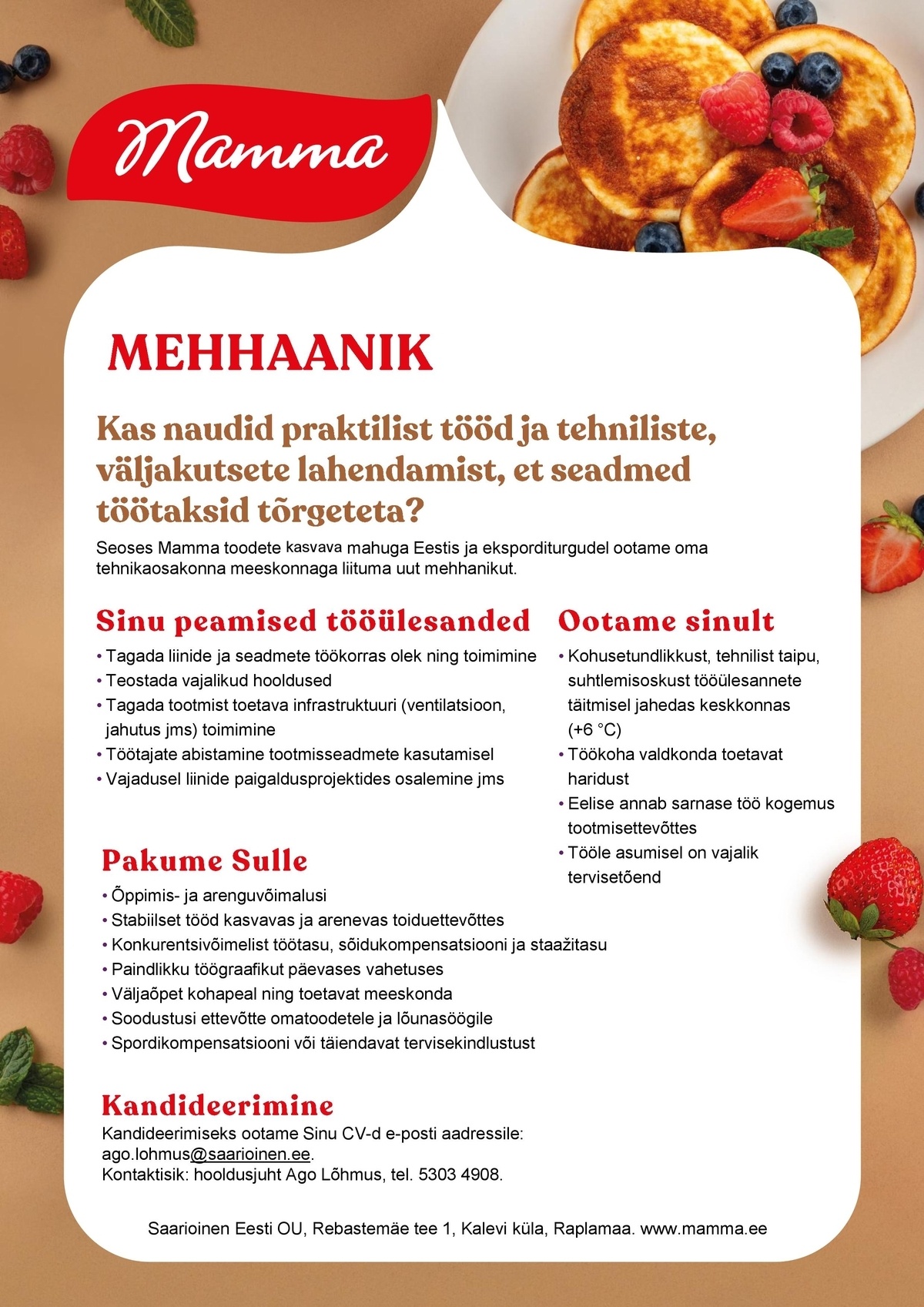 Saarioinen Eesti OÜ Mehhaanik