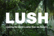 LUSH E-POE JUHATAJA