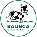 Raamatupidaja