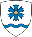 Koduhooldustöötaja