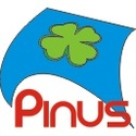 Müügiesindaja
