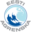 Tegevusjuhendaja