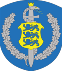 Tartu eriarstikeskuse ülem-arst