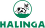 Halinga OÜ tööpakkumised