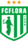 MTÜ Jalgpalliklubi FCF tööpakkumised